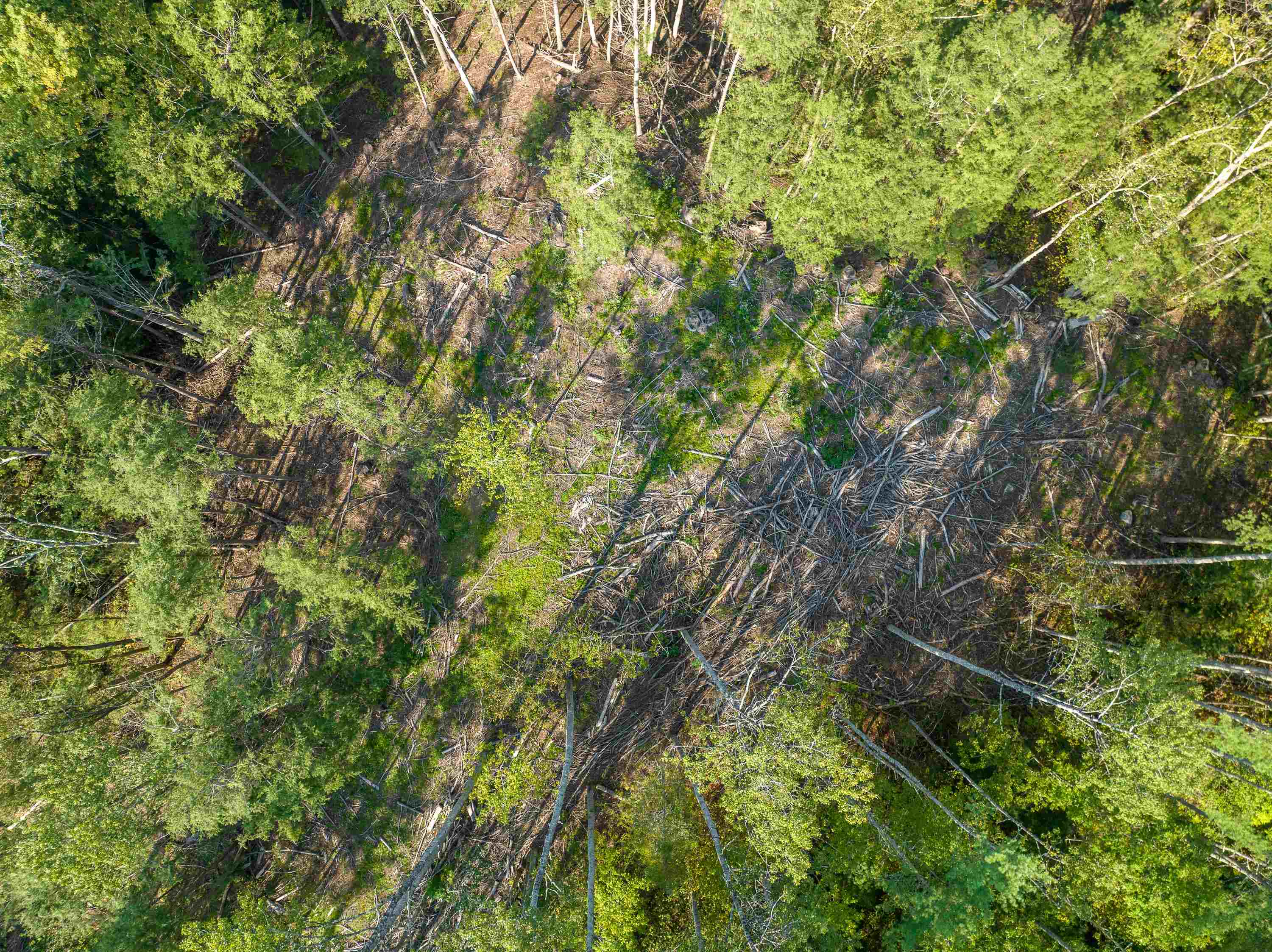 0 Lisbon Road, Unit M:13 L: 69 & 71 Bath, NH 03740 - Photo 24 of 28