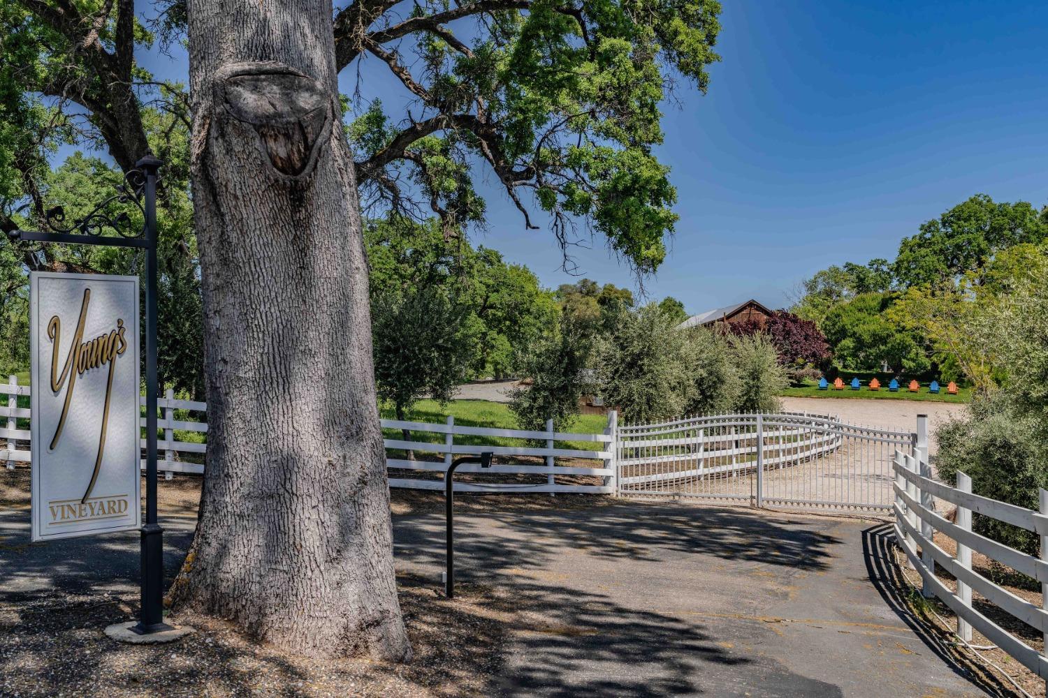 a view of a yard and mountain view
