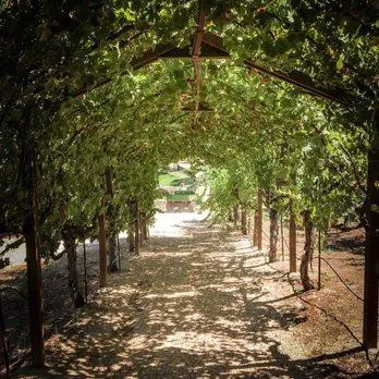a view of a house with a yard porch and sitting area