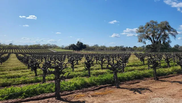 a kitchen with granite countertop a sink and a counter top space