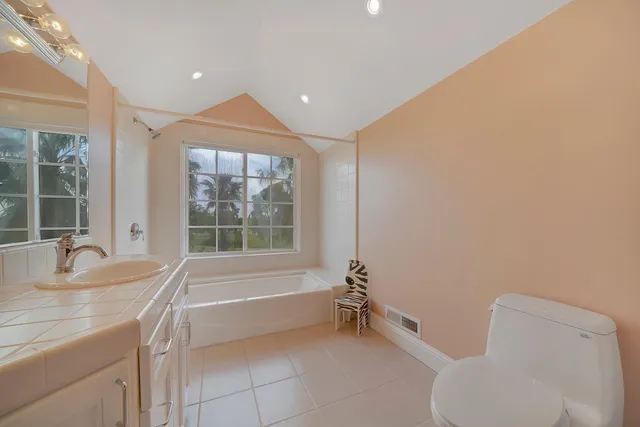 a view of a backyard with plants and a fountain