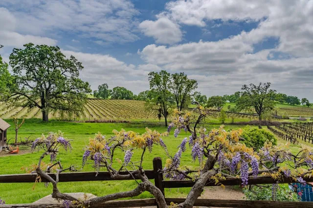 $4,900,000 | 10120 Shenandoah Road, Plymouth, CA 95669