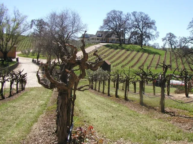 $4,900,000 | 10120 Shenandoah Road, Plymouth, CA 95669