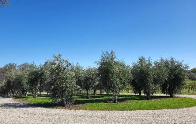 $4,900,000 | 10120 Shenandoah Road, Plymouth, CA 95669