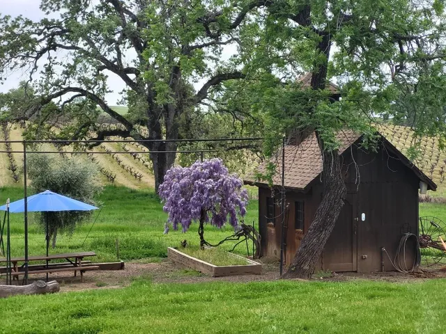 $4,900,000 | 10120 Shenandoah Road, Plymouth, CA 95669