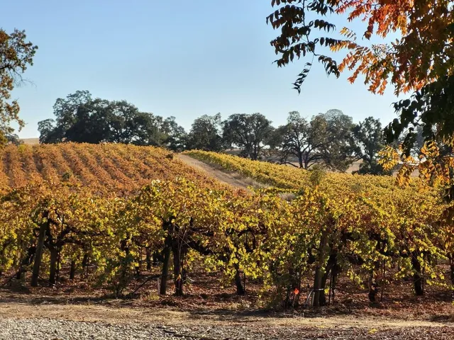 $4,900,000 | 10120 Shenandoah Road, Plymouth, CA 95669