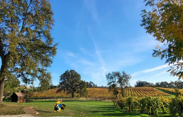 $4,900,000 | 10120 Shenandoah Road, Plymouth, CA 95669