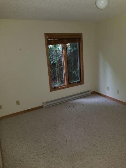 131 Lower Grouse Ridge Road, Unit 385 Beech Mountain, NC 28604 - Photo 28 of 28 Gallery Image 28
