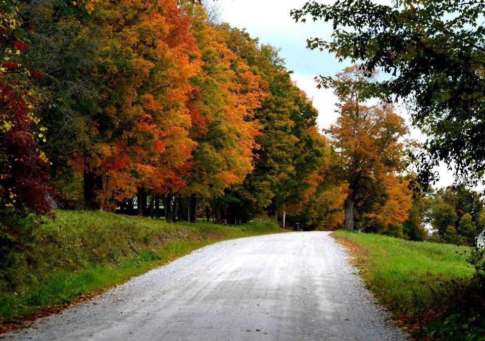 1786 Fiddle Hill Road Sudbury, VT 05733 - Photo 32 of 36