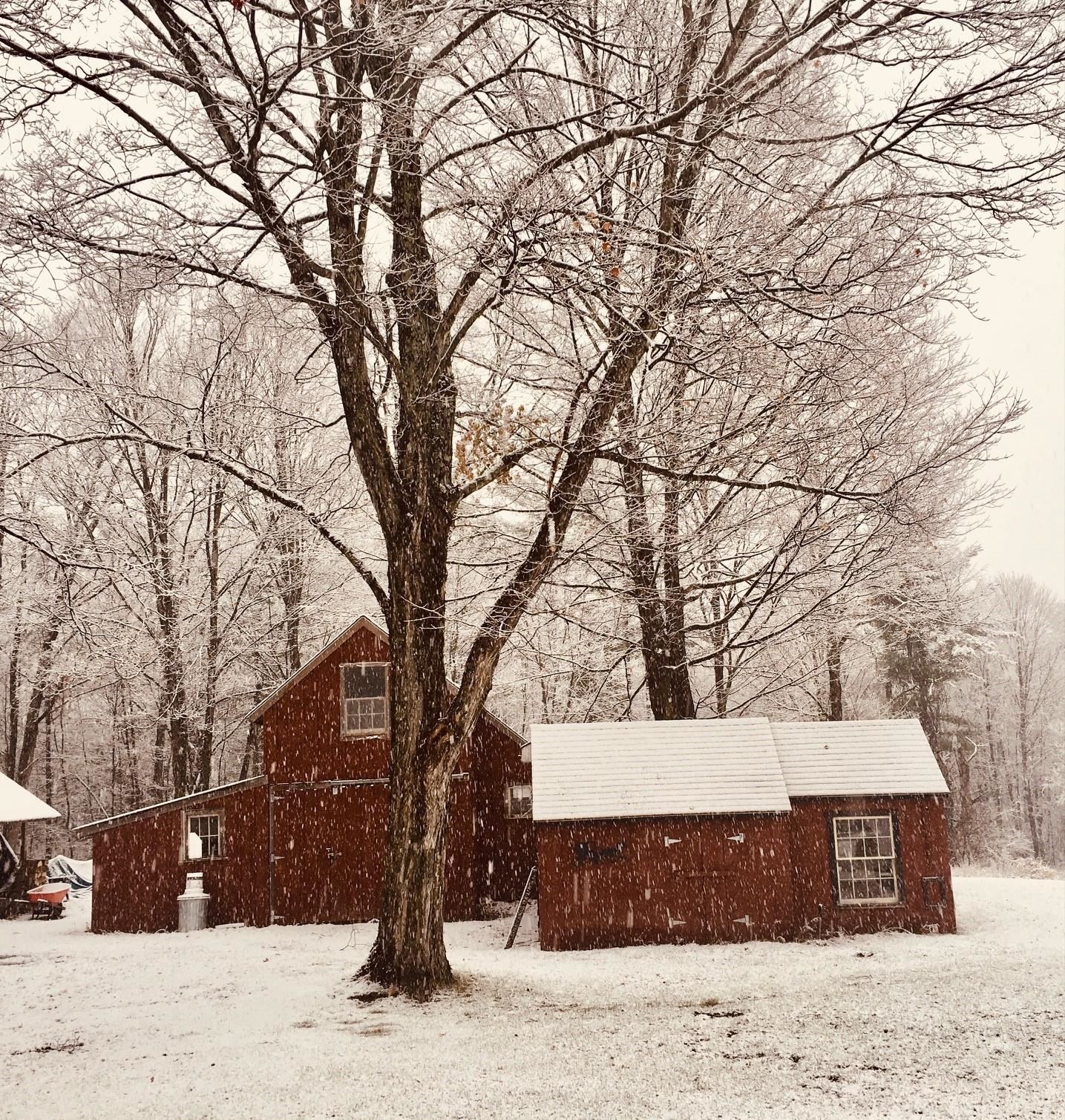 1786 Fiddle Hill Road Sudbury, VT 05733 - Photo 35 of 36