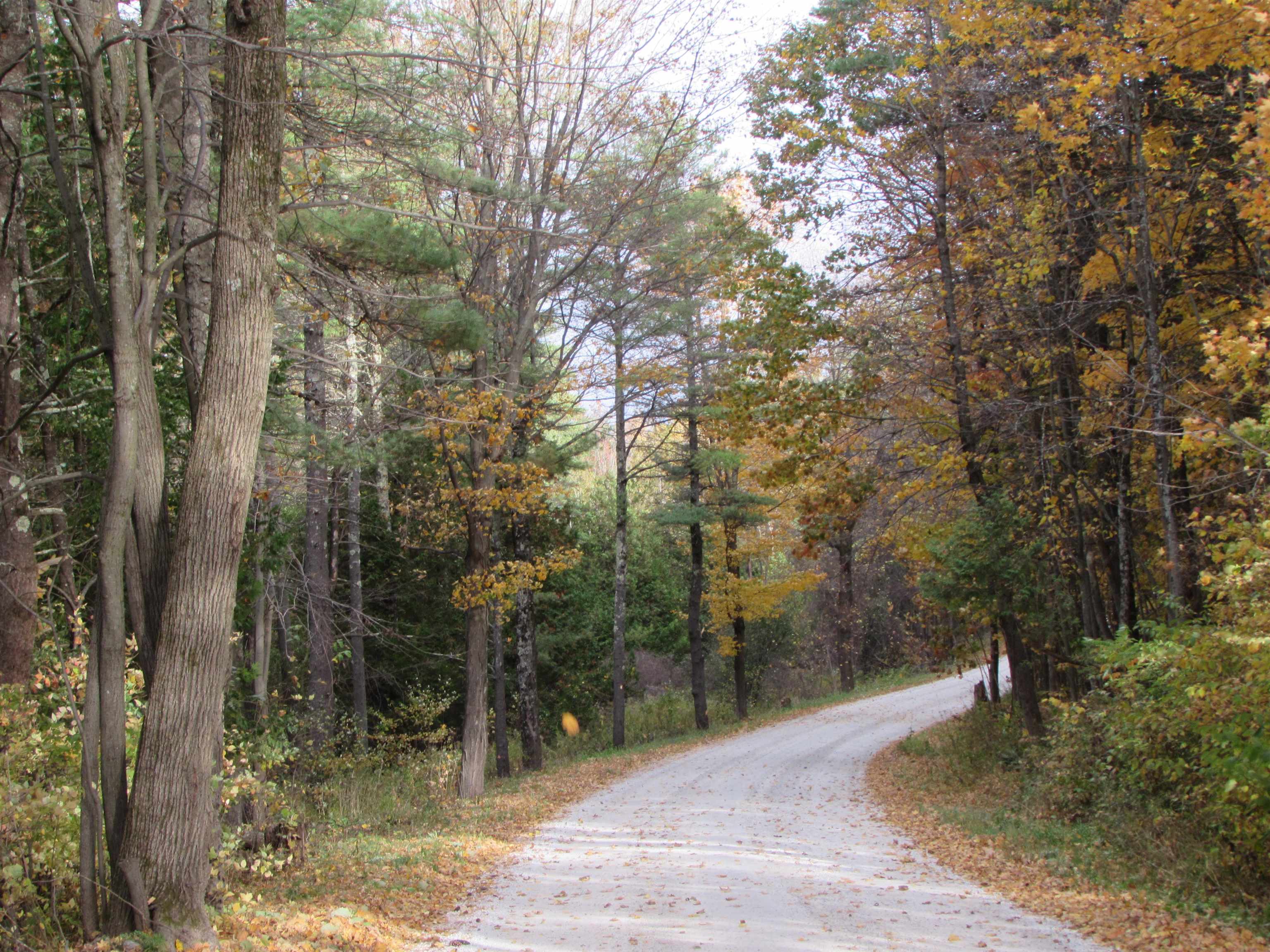 1786 Fiddle Hill Road Sudbury, VT 05733 - Photo 36 of 36