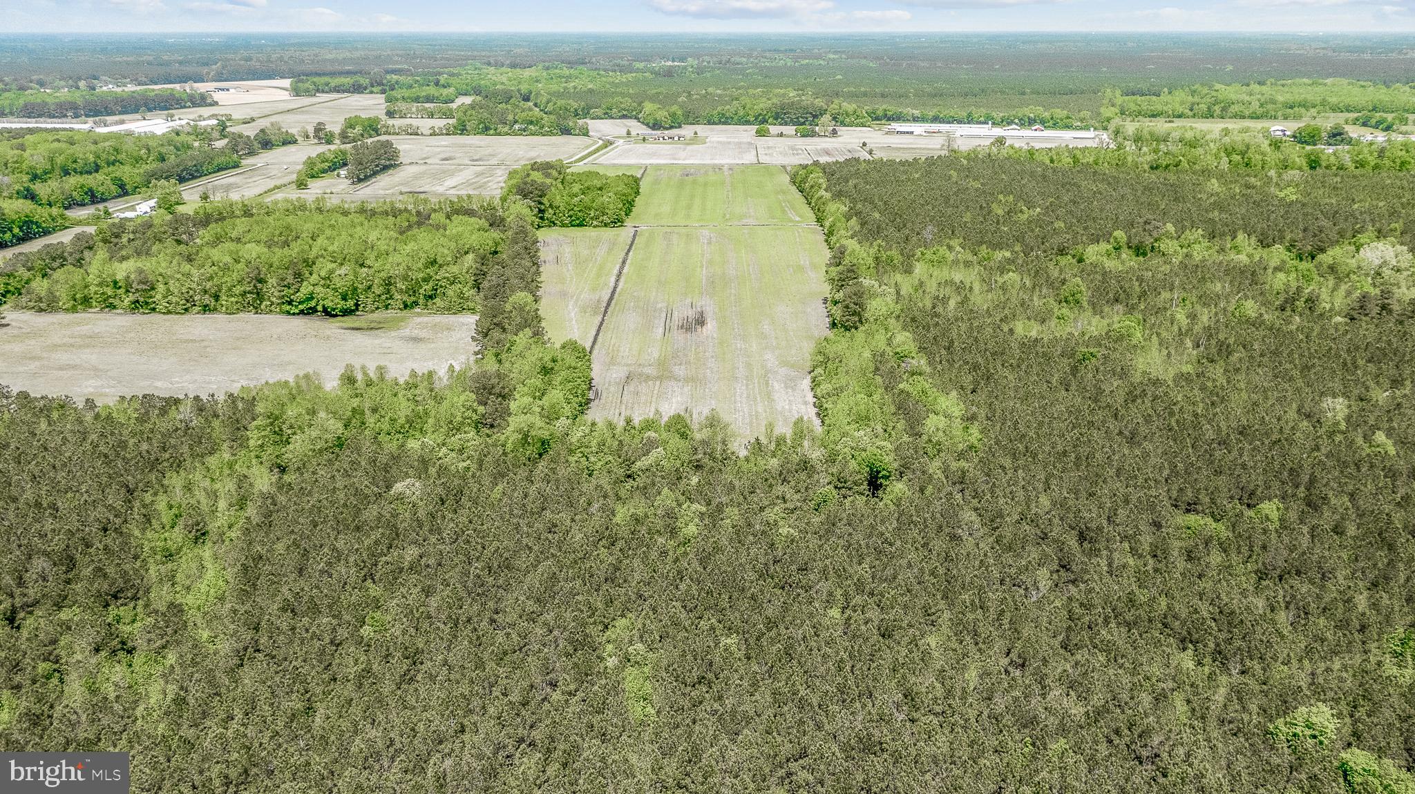 0 West Post Road Princess Anne, MD 21853 - Photo 6 of 16