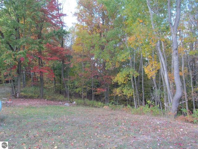 17204 23 Mile Road Tustin, MI 49688 - Photo 28 of 41 28