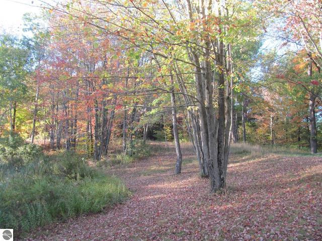 17204 23 Mile Road Tustin, MI 49688 - Photo 39 of 41 39