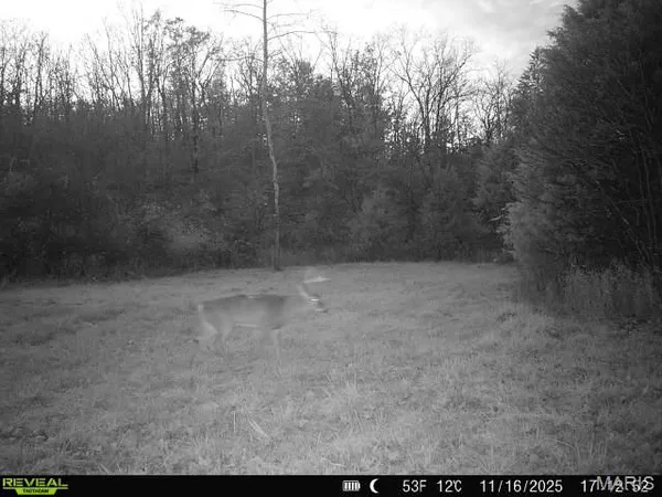 $199,900 | 0 Hollingshead, Leasburg, MO 65535