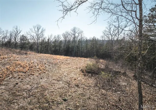 $199,900 | 0 Hollingshead, Leasburg, MO 65535