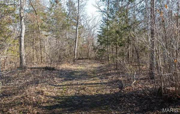 $199,900 | 0 Hollingshead, Leasburg, MO 65535