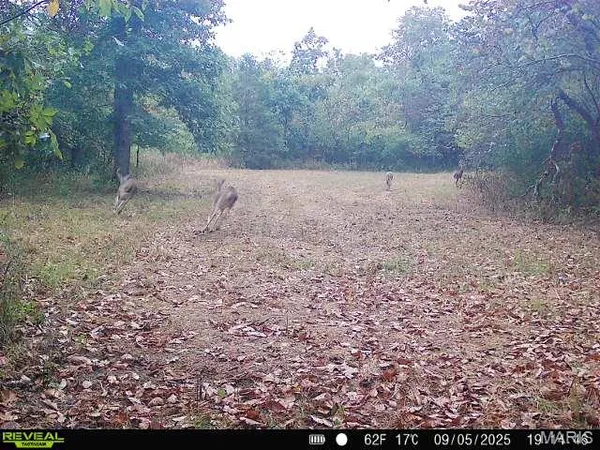 $199,900 | 0 Hollingshead, Leasburg, MO 65535