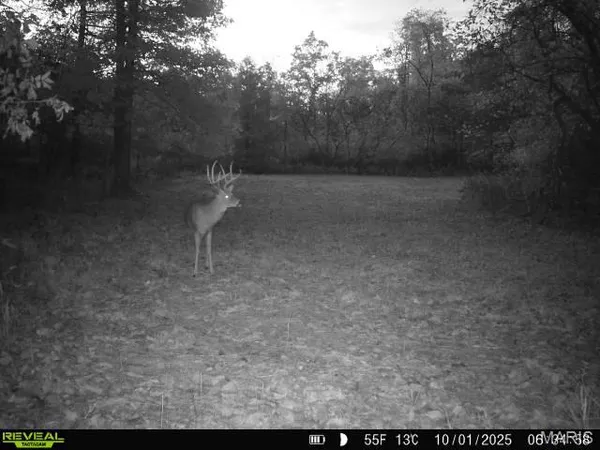 $199,900 | 0 Hollingshead, Leasburg, MO 65535