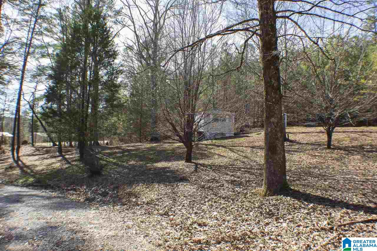 2021 Pumpkin Center Cut Off Road Quinton, AL 35130 - Photo 14 of 15