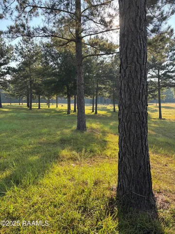 $200,000 | 399 Athus Melder Forest Hill, Forest Hill, LA 71430