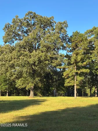 $200,000 | 399 Athus Melder Forest Hill, Forest Hill, LA 71430