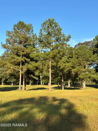 $200,000 | 399 Athus Melder Forest Hill, Forest Hill, LA 71430