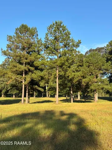 $200,000 | 399 Athus Melder Forest Hill, Forest Hill, LA 71430