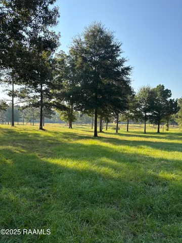 $200,000 | 399 Athus Melder Forest Hill, Forest Hill, LA 71430