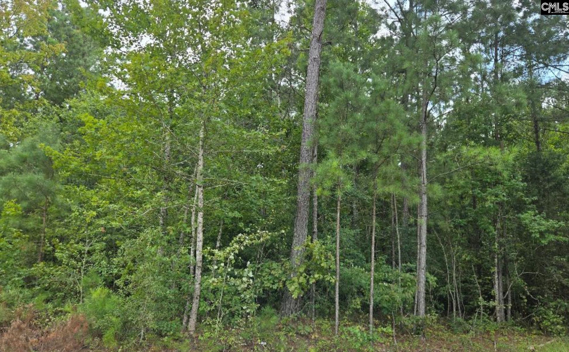 Lot L Old Edgefield Road Troy, SC 29848 - Photo 4 of 6