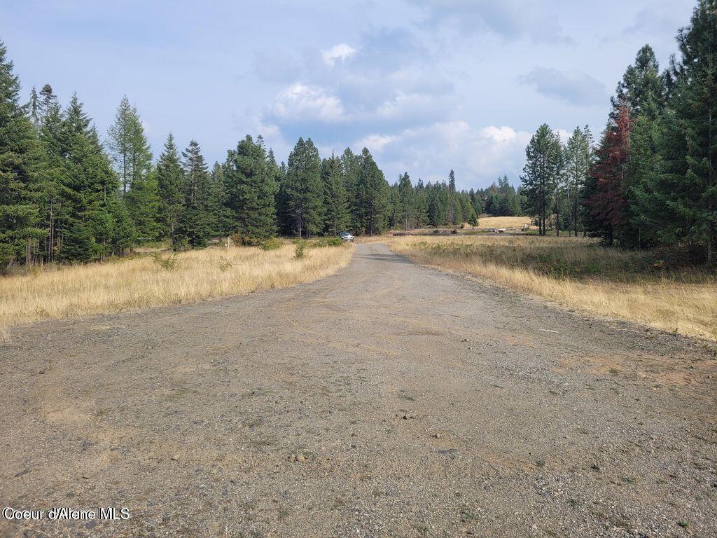 1 South B S Skyview Road Harrison, ID 83833 - Photo 23 of 31 Driveway 1B