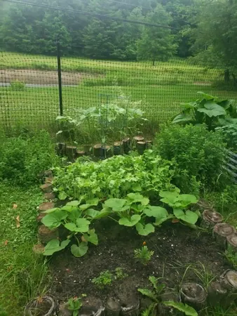 $575,000 | 713 Highway 12, Berlin, VT 05663