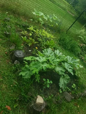 $575,000 | 713 Highway 12, Berlin, VT 05663