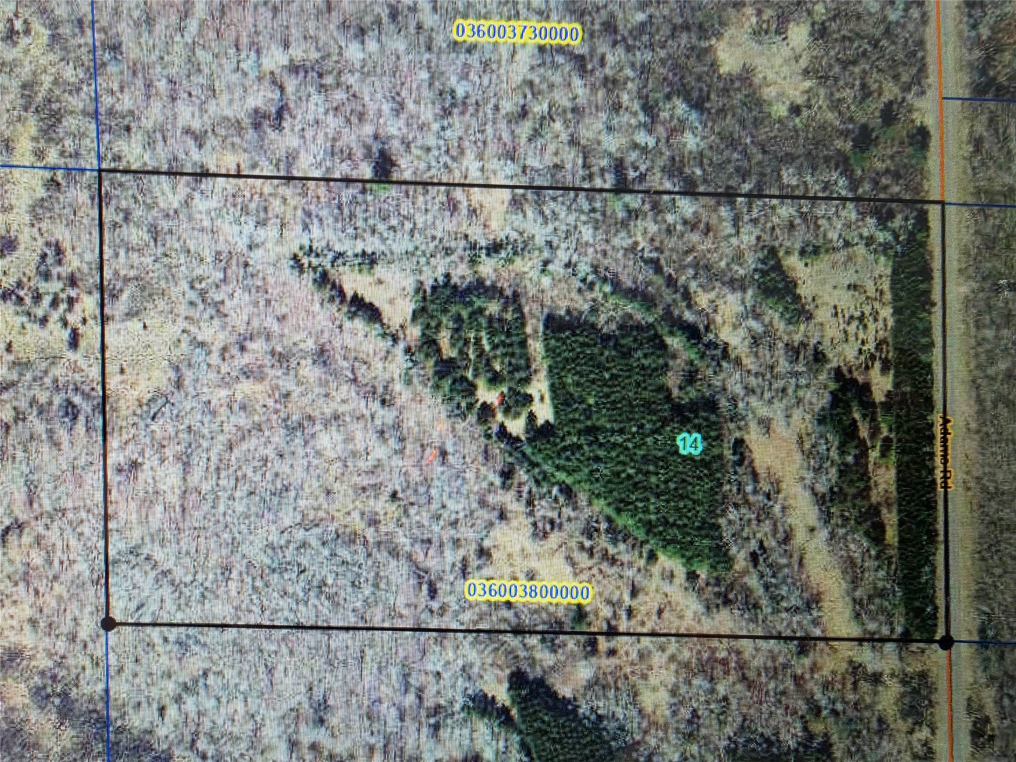 20-acres Adams Road Bruce, WI 54819 - Photo 12 of 14