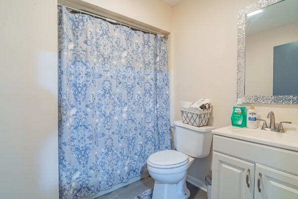 1689 Pleasant Ridge Road Huntland, TN 37345 - Photo 20 of 44 a bathroom with a toilet and a sink