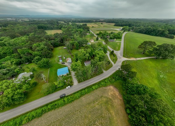 1689 Pleasant Ridge Road Huntland, TN 37345 - Photo 35 of 44 a view of a green yard with large trees