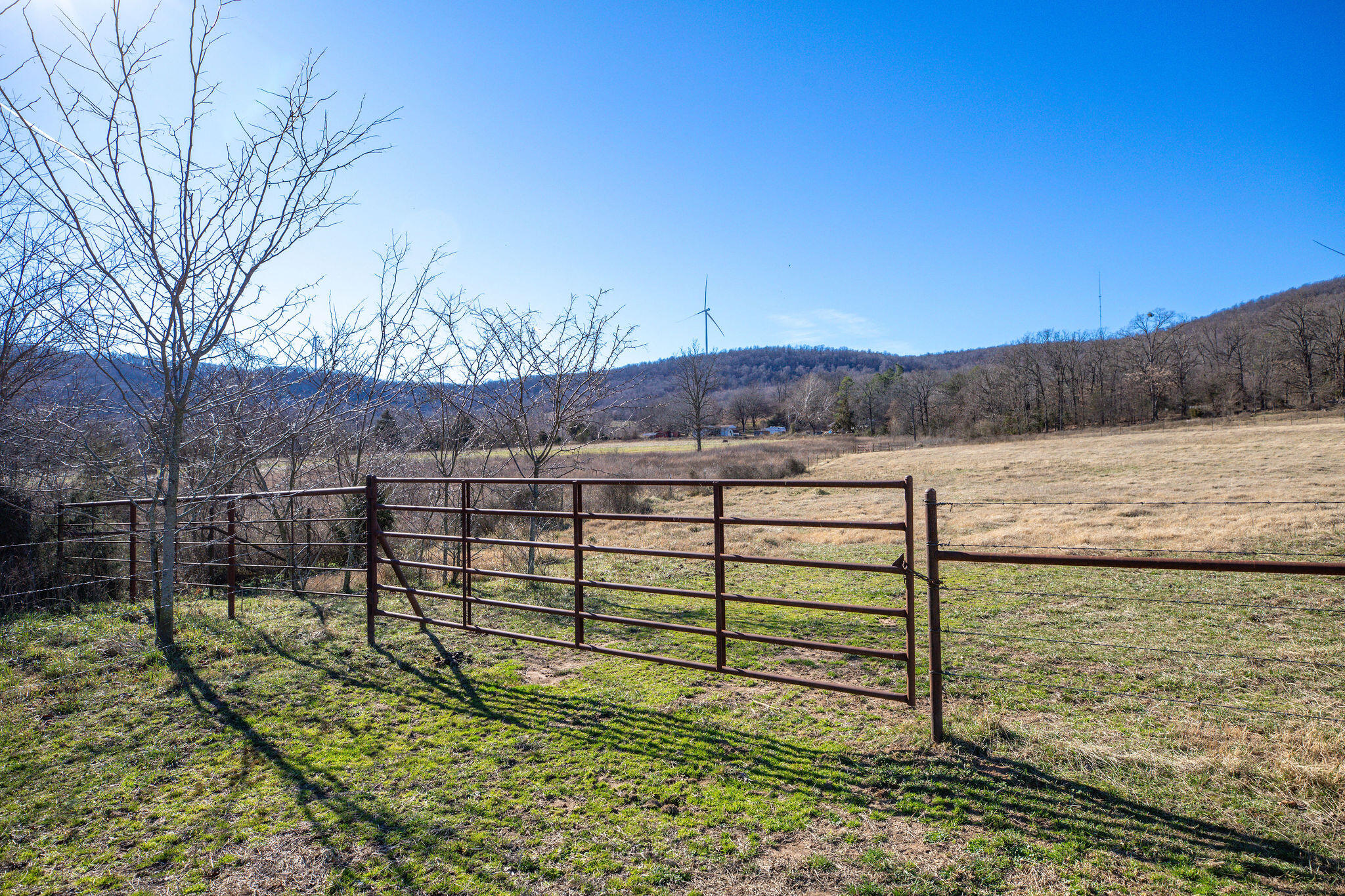 9068 County Rd Green Green Forest, AR 72638 - Photo 24 of 34 GreenforrestProperty-13