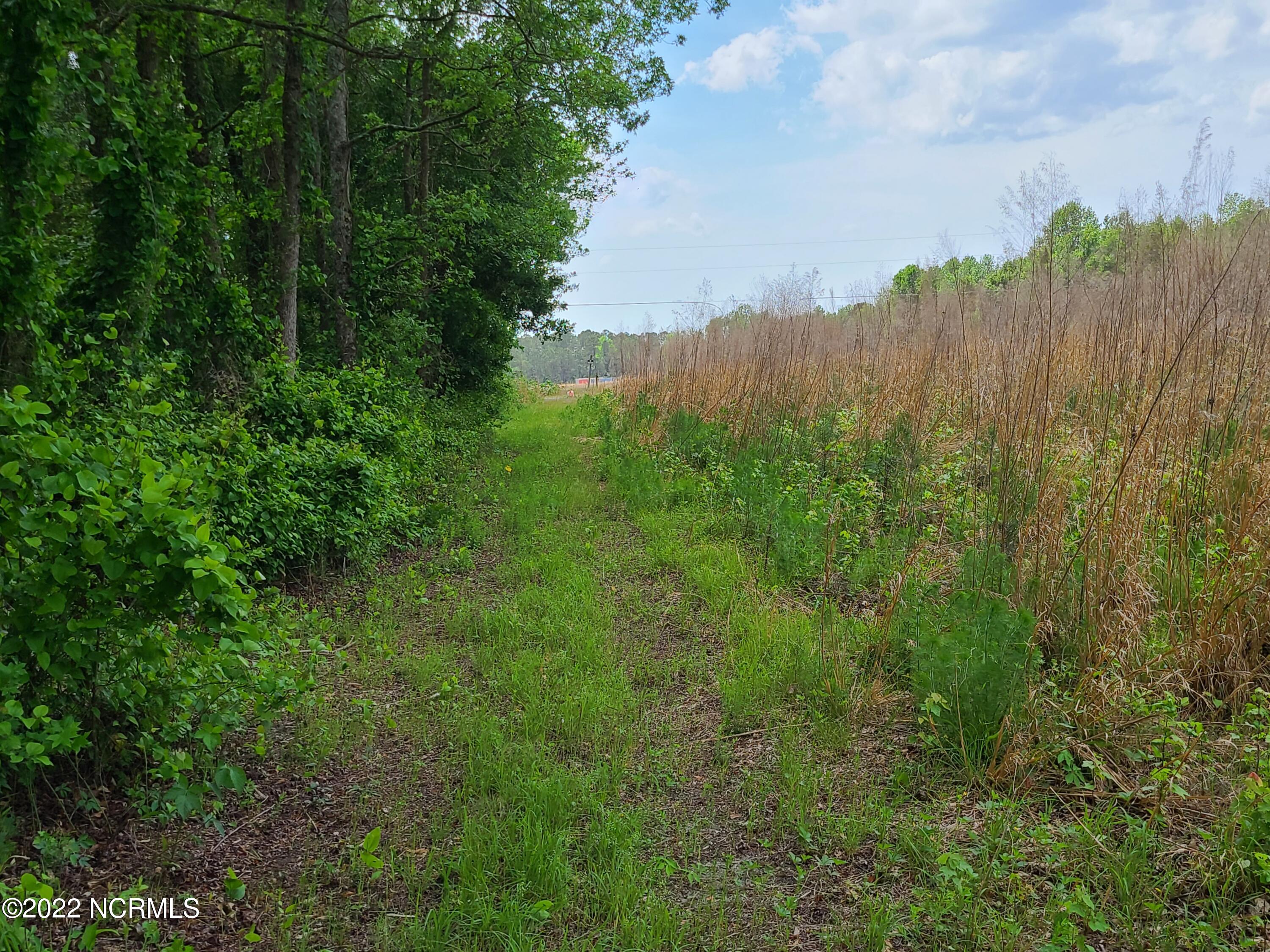 Tbd Mill Branch Road Fairmont, NC 28340 - Photo 11 of 40 11