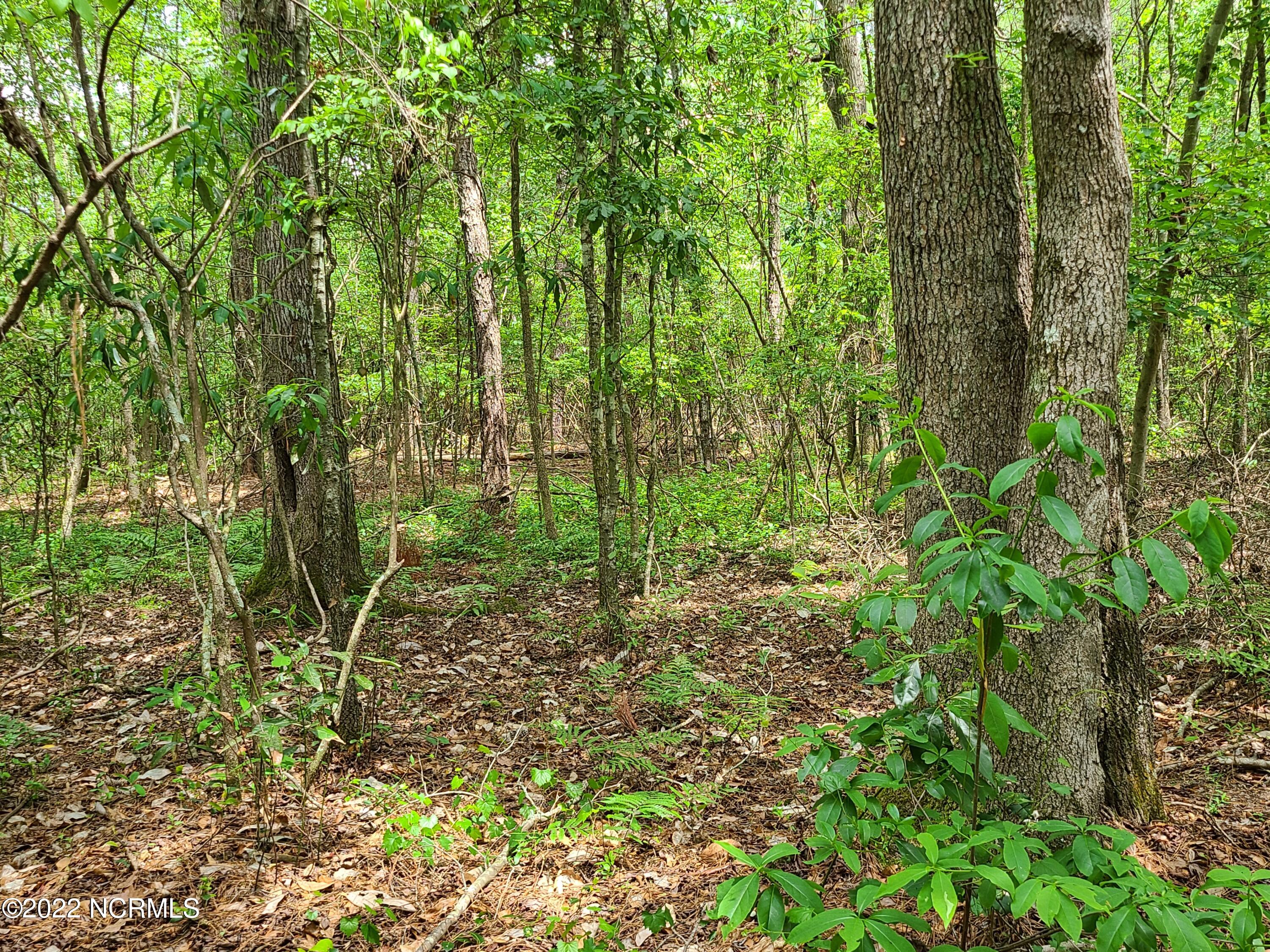 Tbd Mill Branch Road Fairmont, NC 28340 - Photo 25 of 40 25