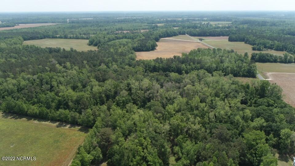 Tbd Mill Branch Road Fairmont, NC 28340 - Photo 37 of 40 37