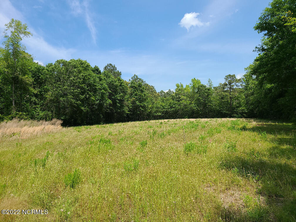 Tbd Mill Branch Road Fairmont, NC 28340 - Photo 7 of 40 7