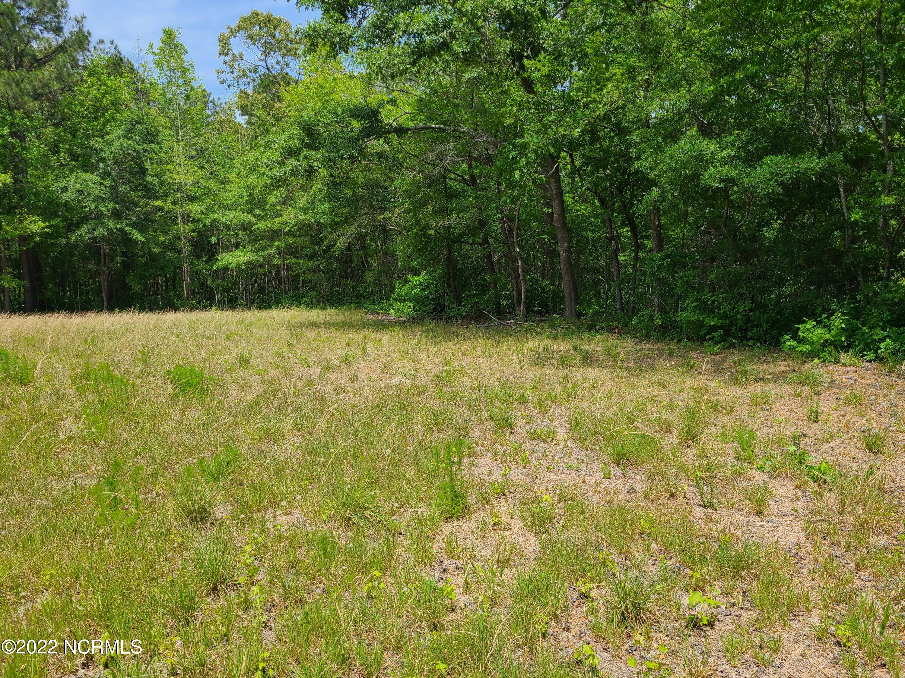 Tbd Mill Branch Road Fairmont, NC 28340 - Photo 8 of 40 8