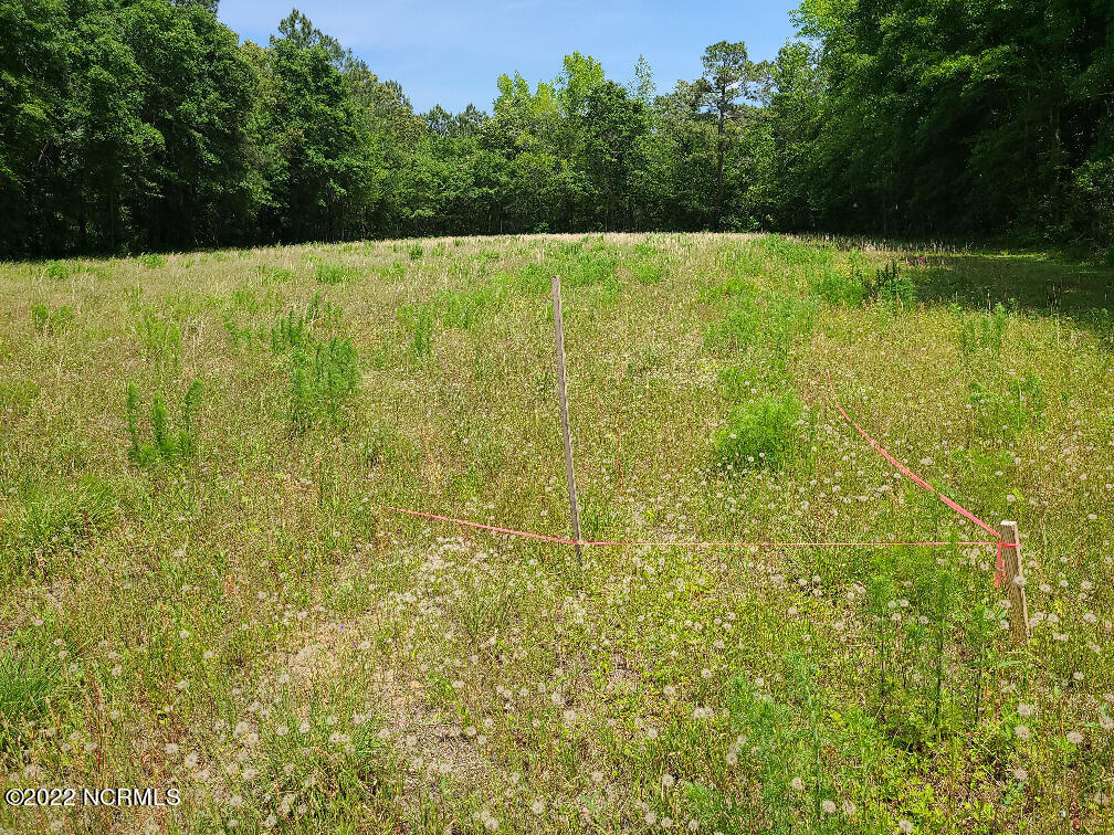 Tbd Mill Branch Road Fairmont, NC 28340 - Photo 9 of 40 9