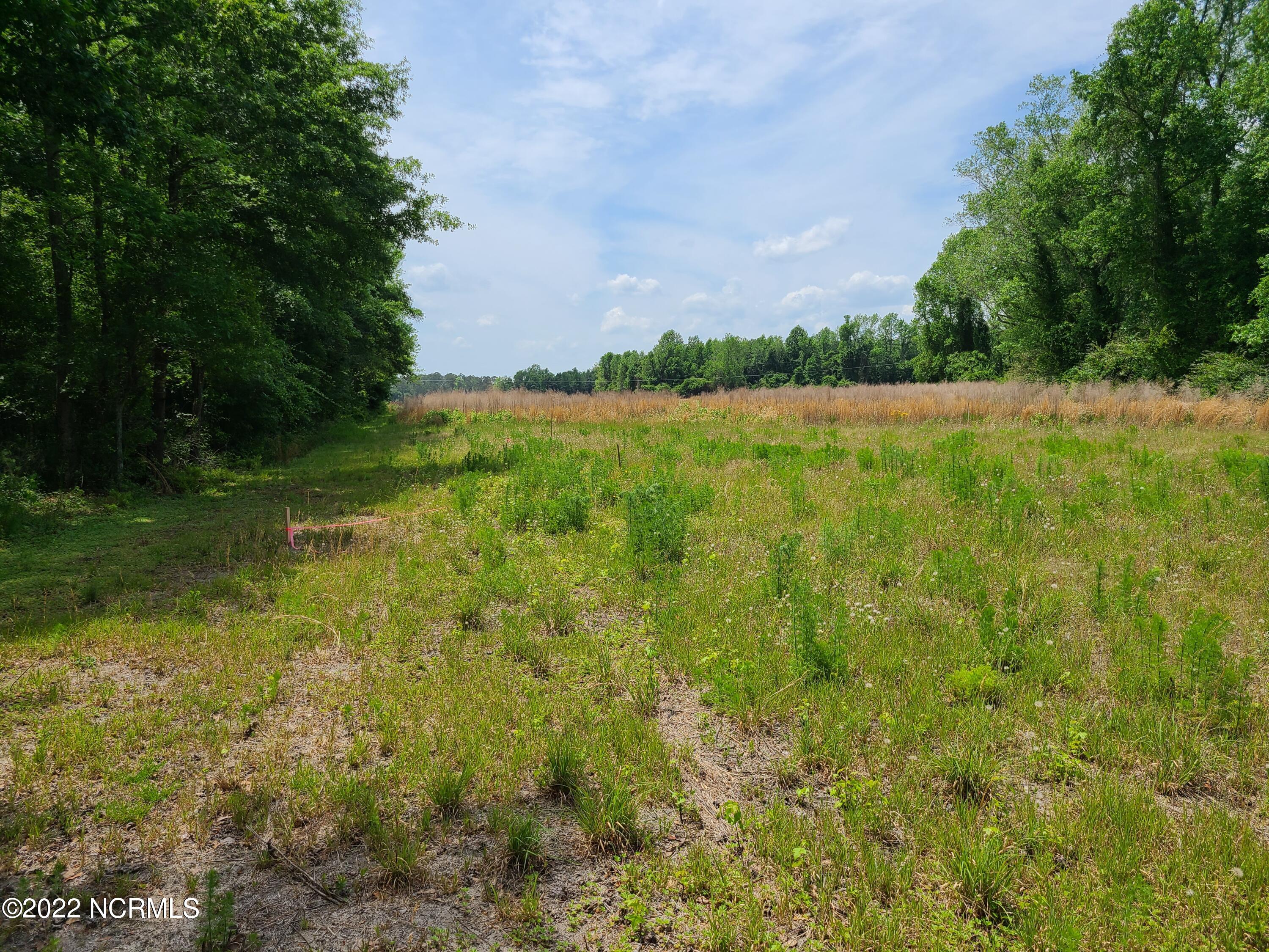 Tbd Mill Branch Road Fairmont, NC 28340 - Photo 10 of 40 10
