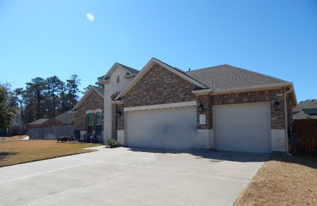 14209 Castolon Court Conroe, TX 77384 - Photo 3 of 6