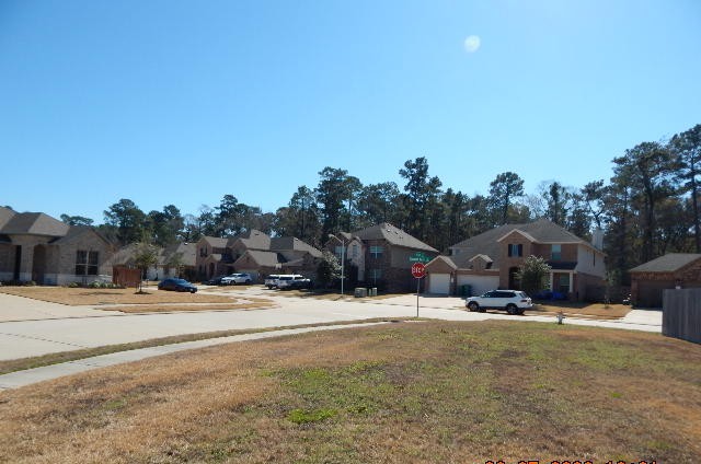 14209 Castolon Court Conroe, TX 77384 - Photo 5 of 6