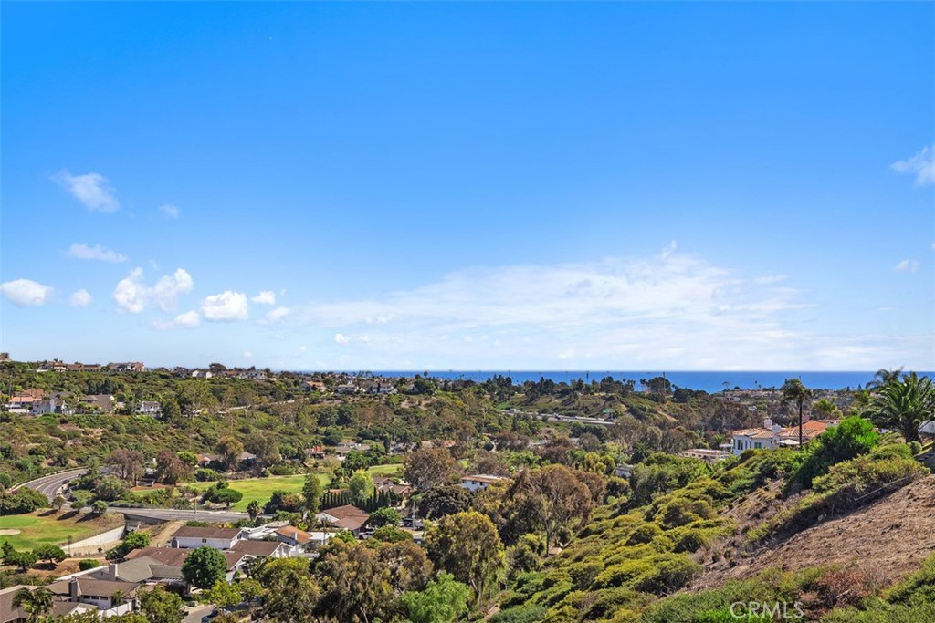 4 Tesoro San Clemente, CA 92673 - Photo 44 of 60