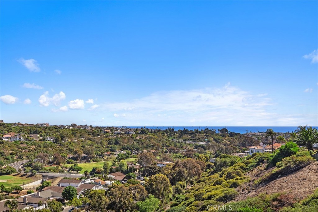 4 Tesoro San Clemente, CA 92673 - Photo 44 of 60