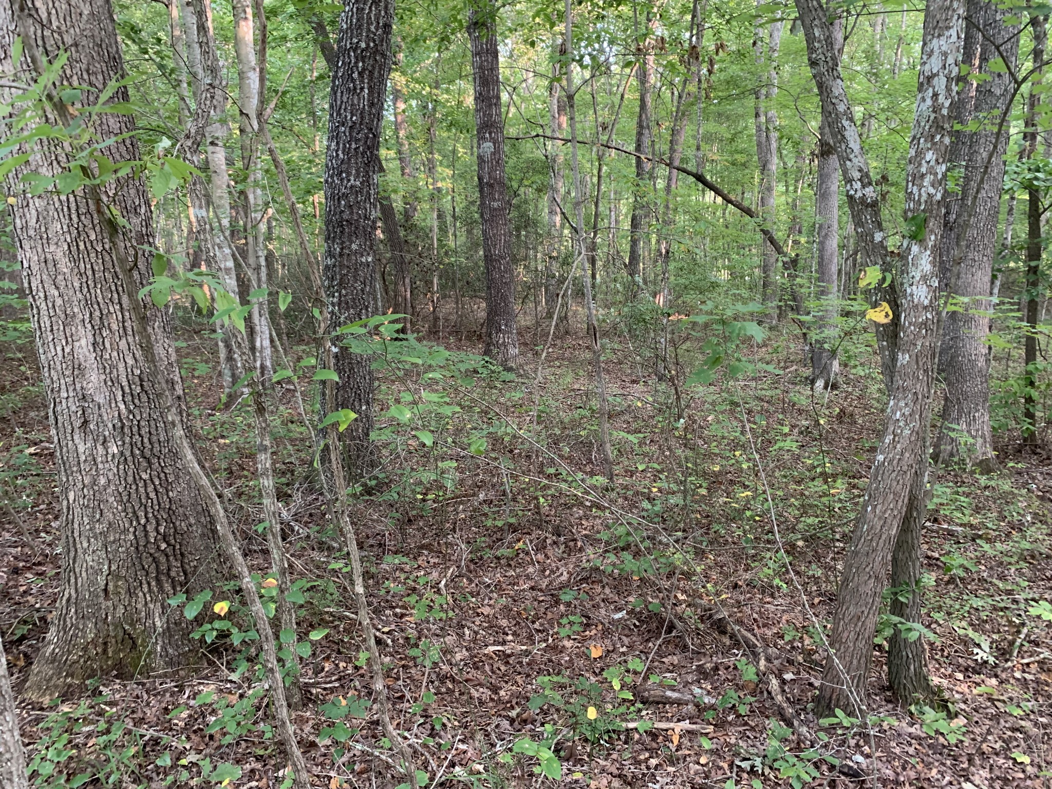 0 Ridge View Lane Spencer, TN 38585 - Photo 2 of 6