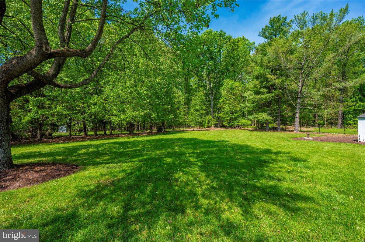 8412 Dasher Court Gaithersburg, MD 20882 - Photo 74 of 83 a view of green field with trees in the background